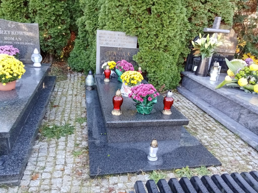 Grób JACEK  PAJĄK
